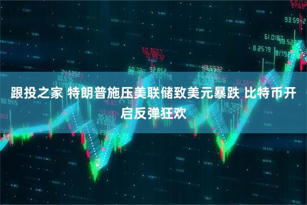 跟投之家 特朗普施压美联储致美元暴跌 比特币开启反弹狂欢