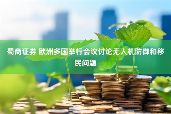 蜀商证券 欧洲多国举行会议讨论无人机防御和移民问题