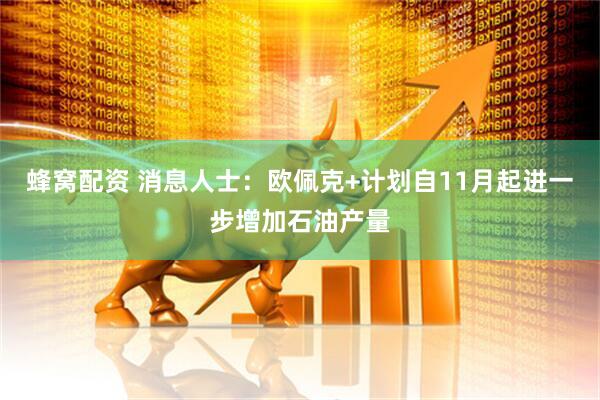 蜂窝配资 消息人士：欧佩克+计划自11月起进一步增加石油产量
