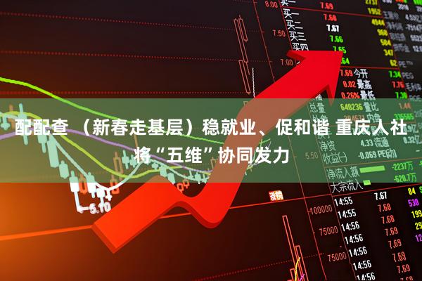 配配查 （新春走基层）稳就业、促和谐 重庆人社将“五维”协同发力