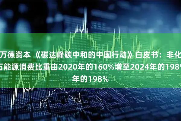 万德资本 《碳达峰碳中和的中国行动》白皮书:非化石能源消费比重由2020年的160%增至2024年的198%