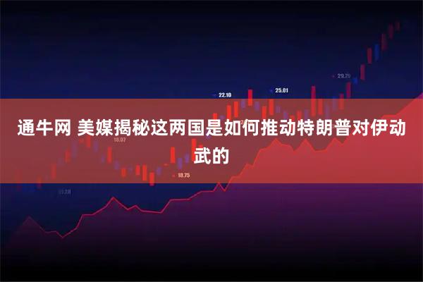 通牛网 美媒揭秘这两国是如何推动特朗普对伊动武的